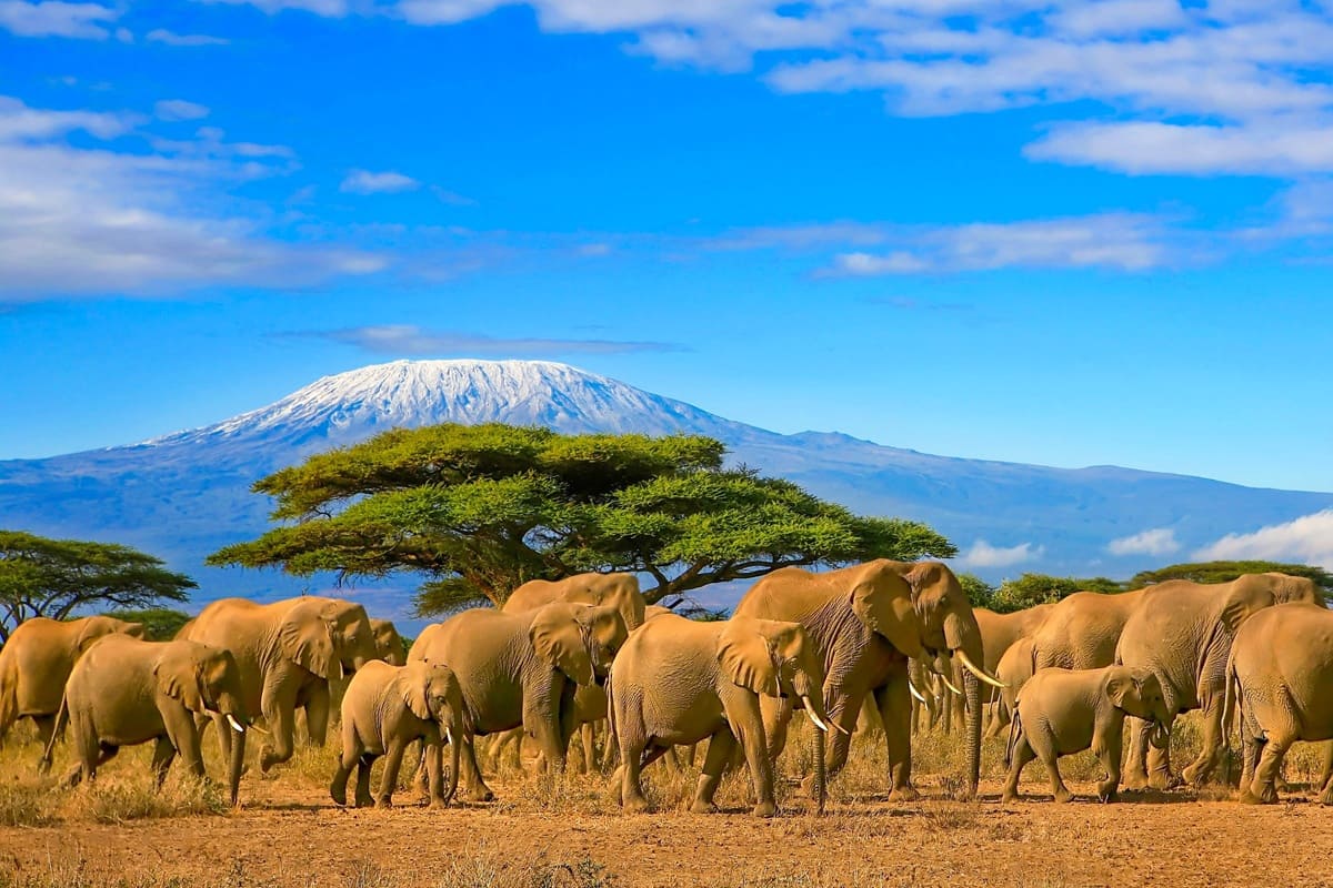 Tanzanie : l’assurance voyage obligatoire s’appliquera à partir du 1er octobre 2026