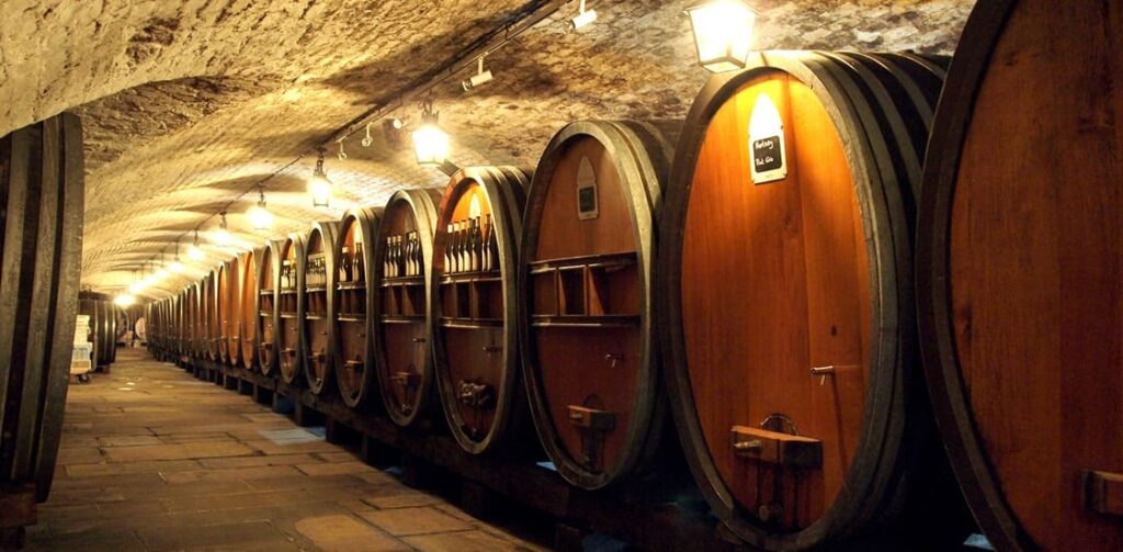 Le Vin le Plus Vieux du Monde (Dans un Endroit Inattendu) Le Vin le Plus Vieux du Monde (Dans un Endroit Inattendu)