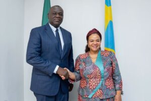 DR Congo: E-Visa system still in development