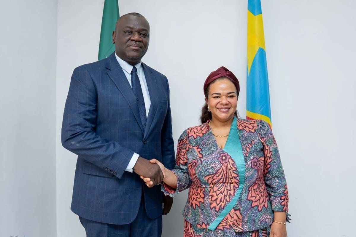 DR Congo: E-Visa system still in development